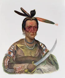 To-Ka-Cou, chef Sioux Yankton, 1837, illustration de 
