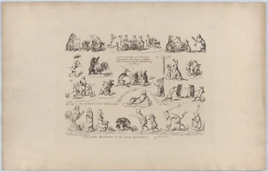 Quelques-unes des drôleries de la Grande Exposition