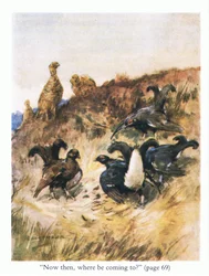 "Alors, où allons-nous?"
