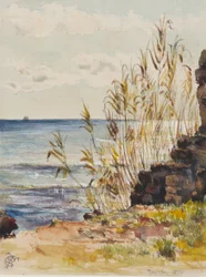À San Remo regardant la Méditerranée, 10 janvier 1878