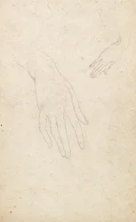 Étude des mains