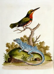 Illustration à l