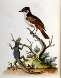 Illustration à l