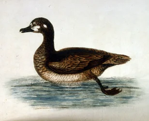 Illustration à l