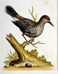 Illustration à l