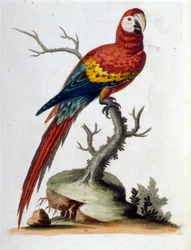 Illustration à l