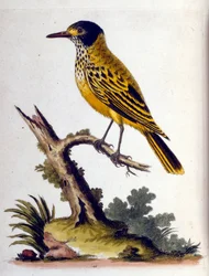 Illustration à l