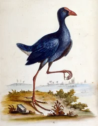Illustration à l