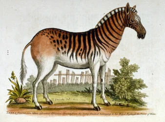 Illustration à l