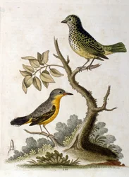 Illustration à l