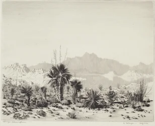 Un mirage, Arizona