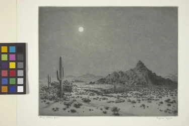 Nuit en Arizona