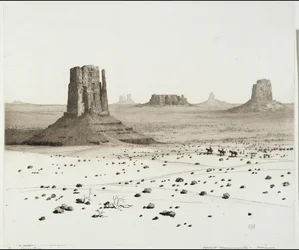 Monuments du désert, Arizona