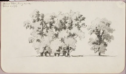 Elms--Eton, Angleterre