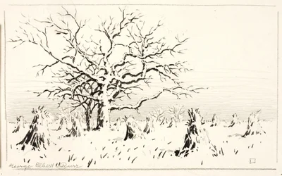 Motif de la gravure
