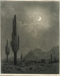 Nouvelle lune et étoile du soir, Phoenix