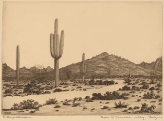 Route vers Paradise Valley, Arizona