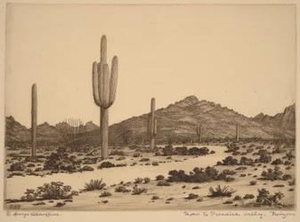 En route vers Paradise Valley, en Arizona
