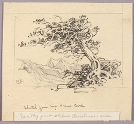 Esquisse pour une carte de Noël (Windswept Pine [no. 1])