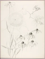 Sans titre (toile d