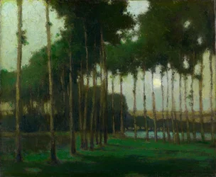 Paysage au clair de lune