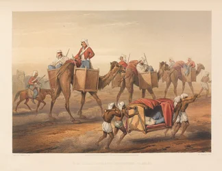 Renforts en route pour Delhi