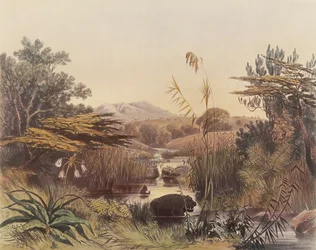 La rivière Umnonoti au crépuscule