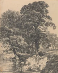 Paysage boisé avec étang