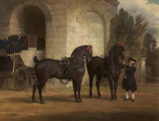 Deux chevaux de carrosse noirs avec un cocher, 1791