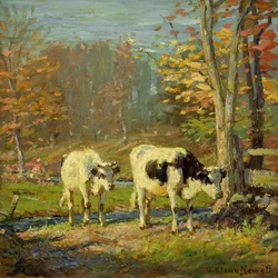 Le chemin vers le ruisseau