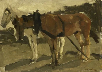 Un cheval brun et un cheval blanc à Scheveningen