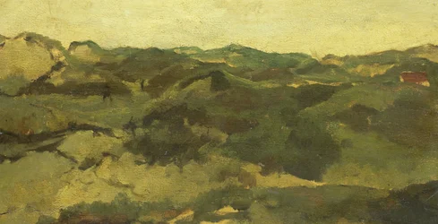 Paysage de lande, probablement à Drenthe