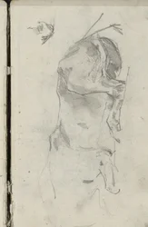 Cheval couché