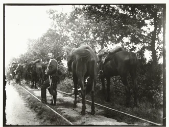 Cavalerie au repos le long d