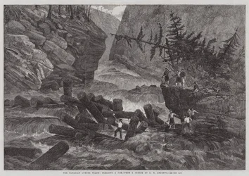 Le commerce du bois canadien, dégagement d