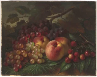 Pêches, raisins et cerises