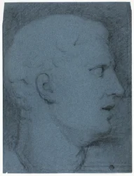 Profil de tête d