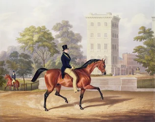 Le marquis d
