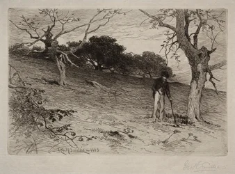 Paysage