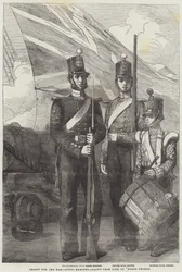 Troupes pour la guerre, Royal Marines