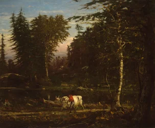 Dans les Adirondacks