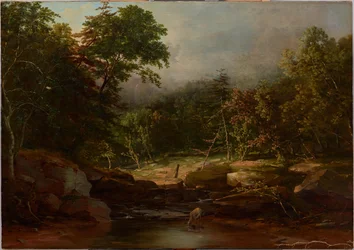 Ruisseau dans les montagnes