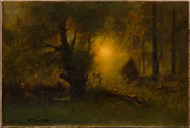Lever de soleil dans les bois
