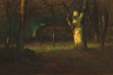Coucher de soleil dans les bois, 1891