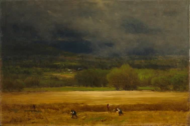 Le Champ de blé, vers 1875-1877