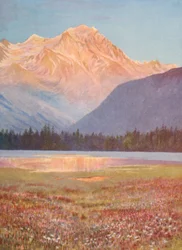 Soirée parmi les champs de bistorte rose au lac Champex; lueur du coucher de soleil sur le Grand Combin, juillet