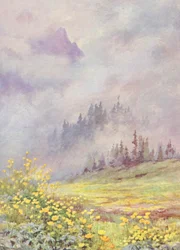 Trollius europaeus, la Fleur de Globe, sur les champs balayés par les nuages au début de juin