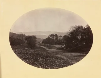 Une route à Williamstown, vers 1870