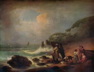 Tir sur les oiseaux de mer