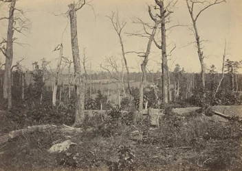 Champ de bataille de Resaca, Géorgie, No 3,1864 (photo)